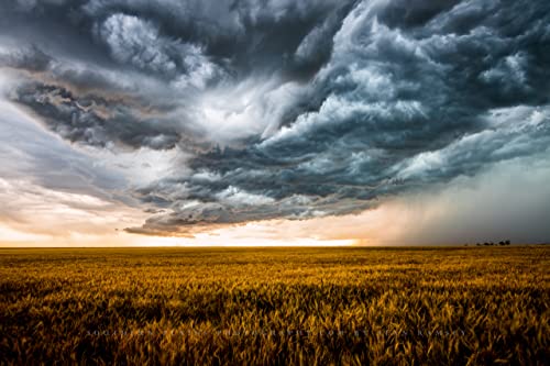 צילום סופת רעמים הדפס תמונה של ענני סערה המתהפכים על שדה חיטה ענבר ביום האביב בקולורדו מזג אוויר אמנות קיר תפאורה מערבית