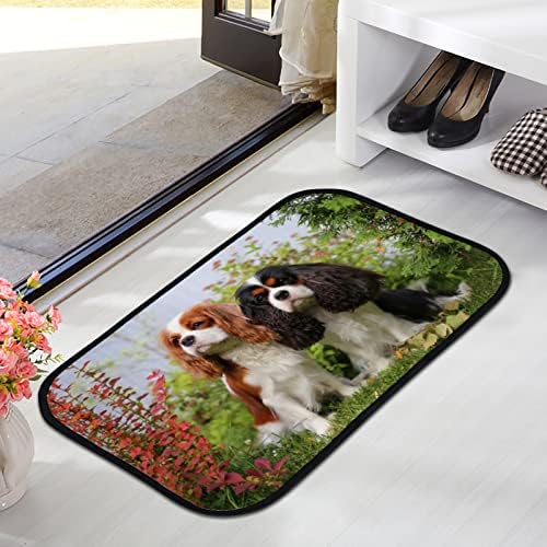רצפת דלת מחצלות אמבט שטיחים יפה כלבים סופר מפנק אמבטיה שטיח החלקה סופג עבור כניסה מקורה חיצוני 23. 6 * 15.7 אינץ